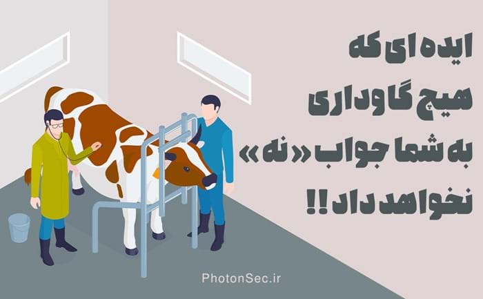 ایده ای که هیچ گاوداری به شما جواب نه ! نخواهد داد ....